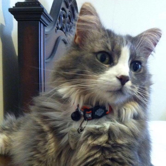 Meet your Posher, Maria - Picture 1 of 1